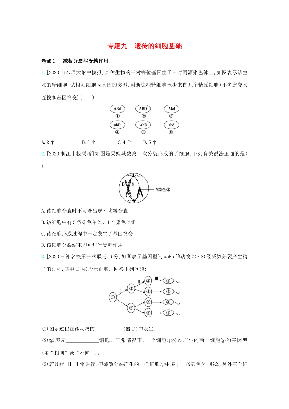 高考生物一轮复习 第四单元 遗传的细胞基础和分子基础 专题九 遗传的细胞基础精练（含解析）试题_第1页