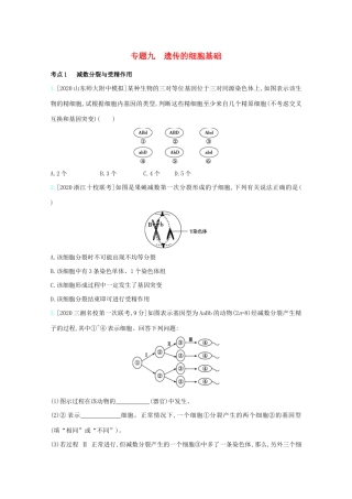 高考生物一轮复习 第四单元 遗传的细胞基础和分子基础 专题九 遗传的细胞基础精练（含解析）试题