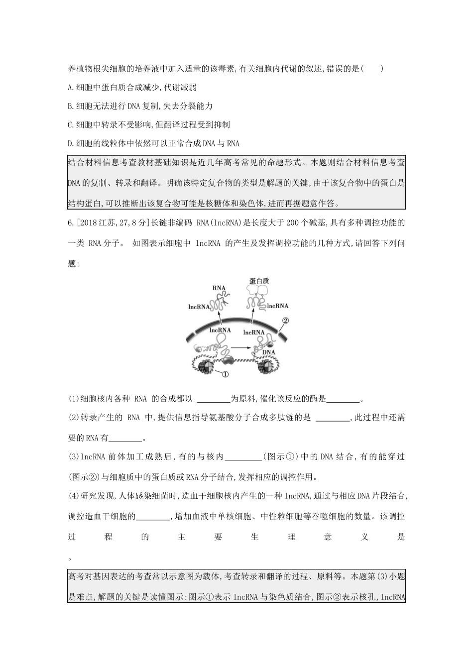 高考生物一轮复习 第四单元 遗传的细胞基础和分子基础 专题十 遗传的分子基础备考练（含解析）试题_第3页