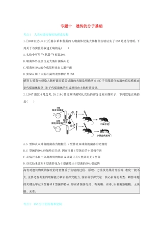 高考生物一轮复习 第四单元 遗传的细胞基础和分子基础 专题十 遗传的分子基础备考练（含解析）试题