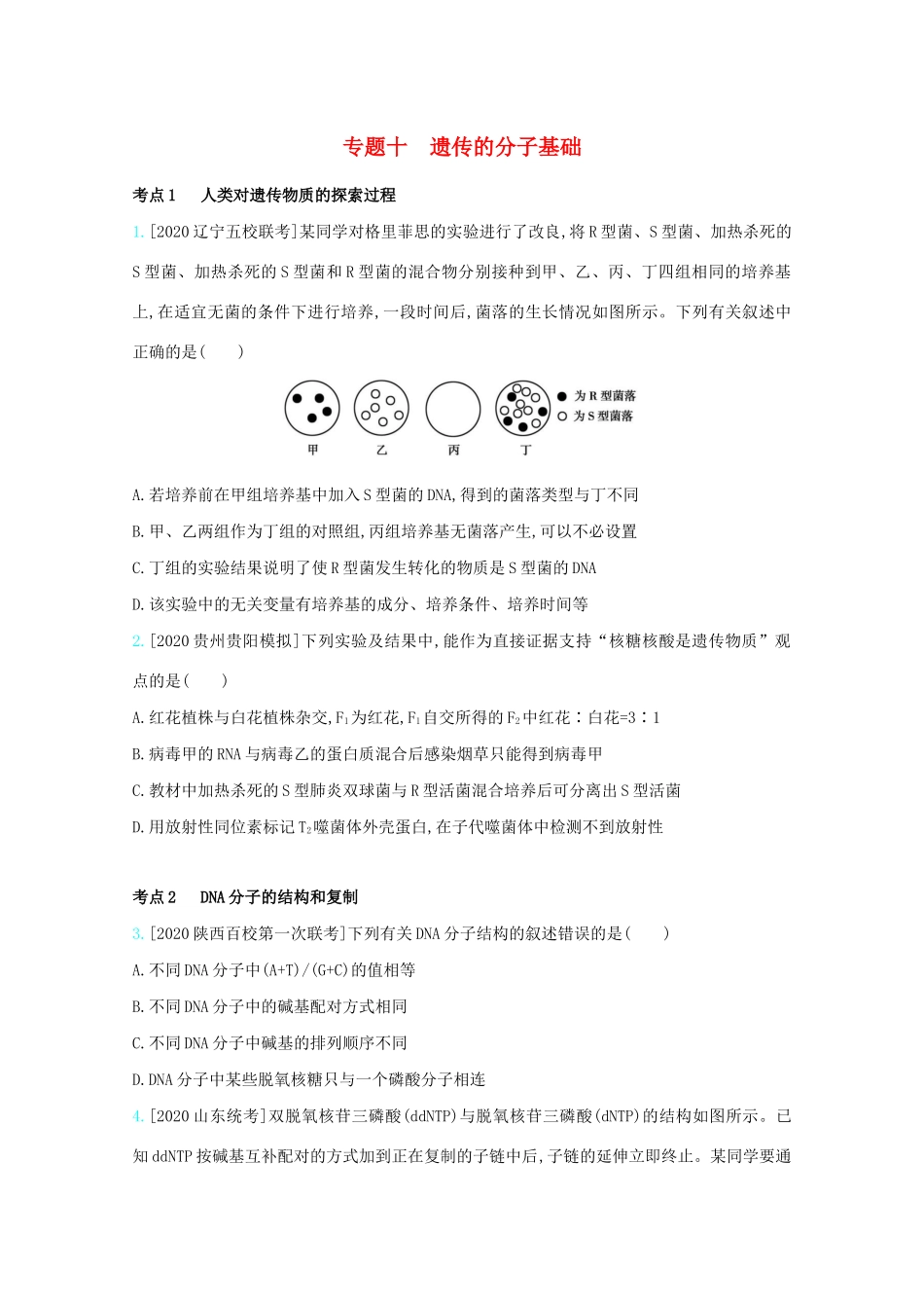 高考生物一轮复习 第四单元 遗传的细胞基础和分子基础 专题十 遗传的分子基础精练（含解析）试题_第1页