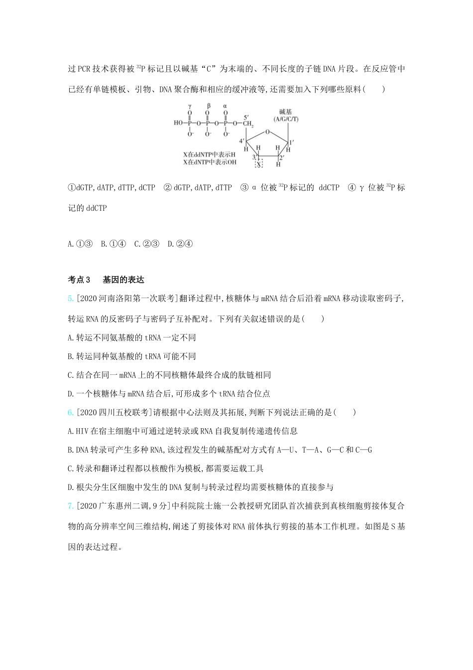 高考生物一轮复习 第四单元 遗传的细胞基础和分子基础 专题十 遗传的分子基础精练（含解析）试题_第2页