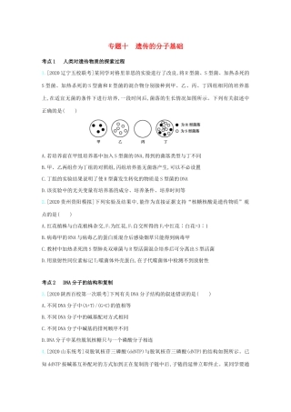 高考生物一轮复习 第四单元 遗传的细胞基础和分子基础 专题十 遗传的分子基础精练（含解析）试题