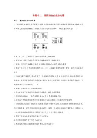 高考生物一轮复习 第五单元 基因的传递规律 专题十二 基因的自由组合定律精练（含解析）试题