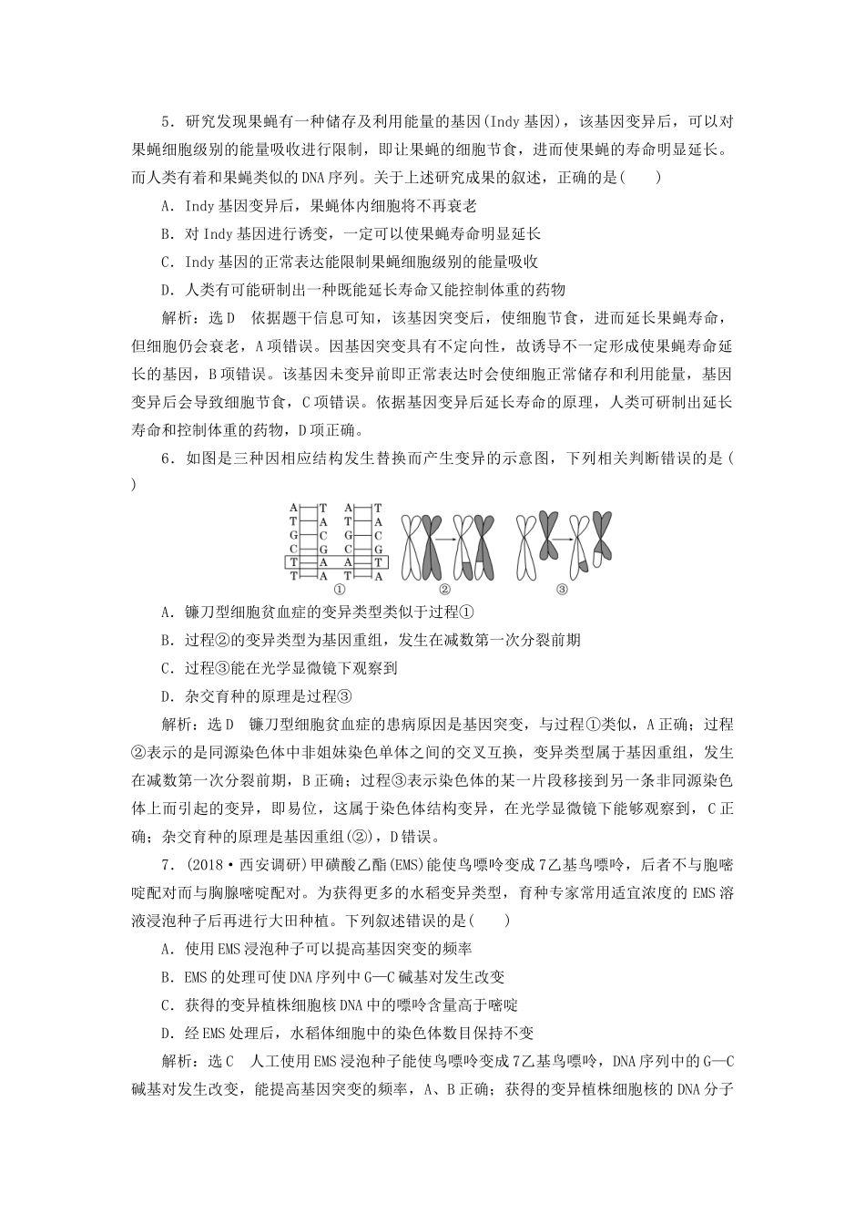高考生物一轮复习 第2部分 遗传与进化 第二单元 基因的本质与表达 课时检测（二十四）基因突变和基因重组试题_第2页