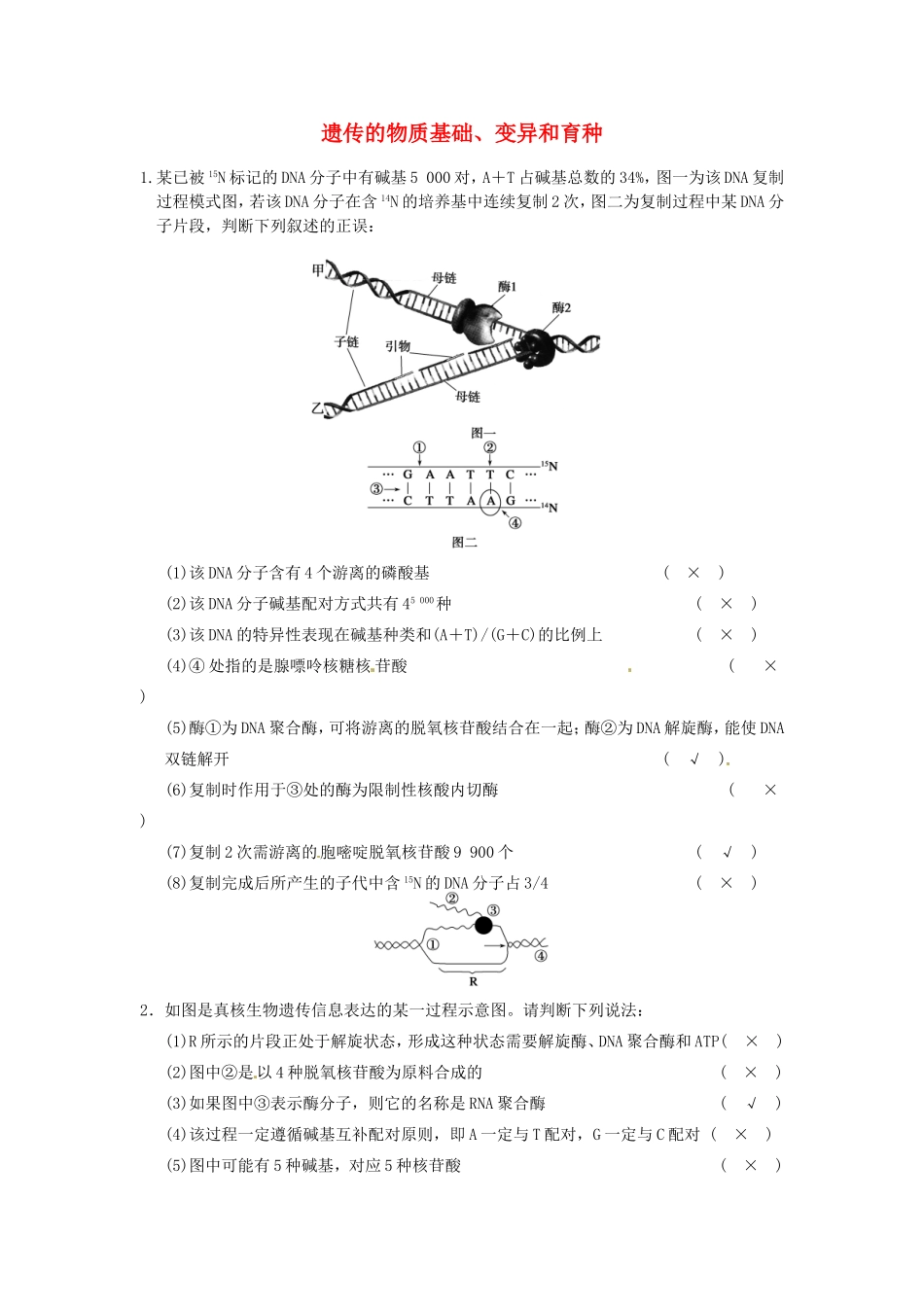 高考生物二轮复习总结题题库专练篇 遗传的物质基础、变异和育种试题_第1页