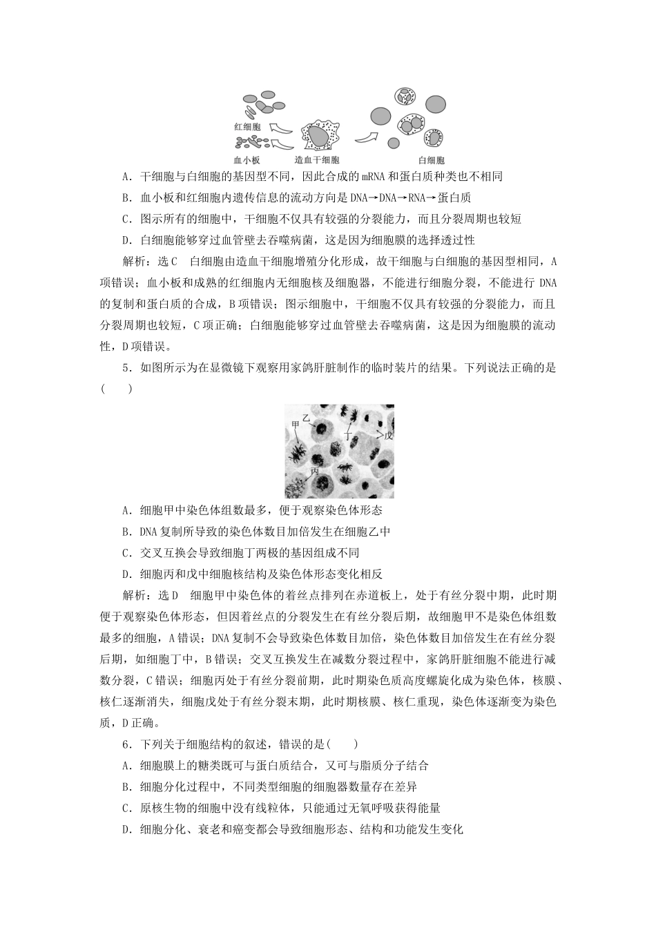 高考生物一轮复习 专题检测（三）细胞的生命历程、遗传的分子基础试题_第2页
