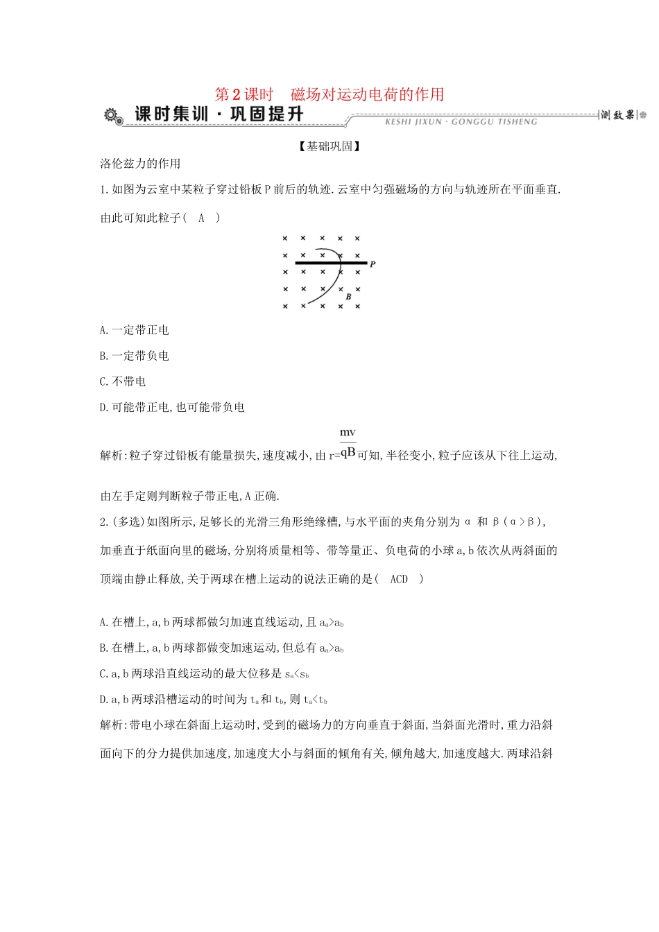 高考物理大一轮复习 第九章 磁场（第2课时）磁场对运动电荷的作用检测试题_第1页