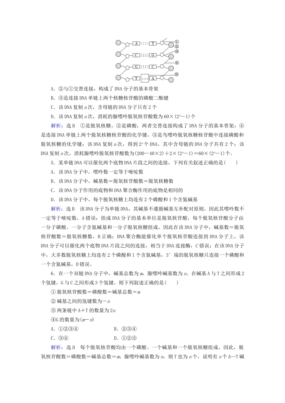 版高考生物一轮复习 第6单元 第19讲 DNA的结构、复制及基因的本质跟踪检测（含解析）试题_第2页