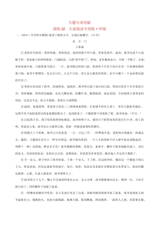 高考语文一轮复习 专题五 小说阅读 12 小说阅读专项练 环境试题