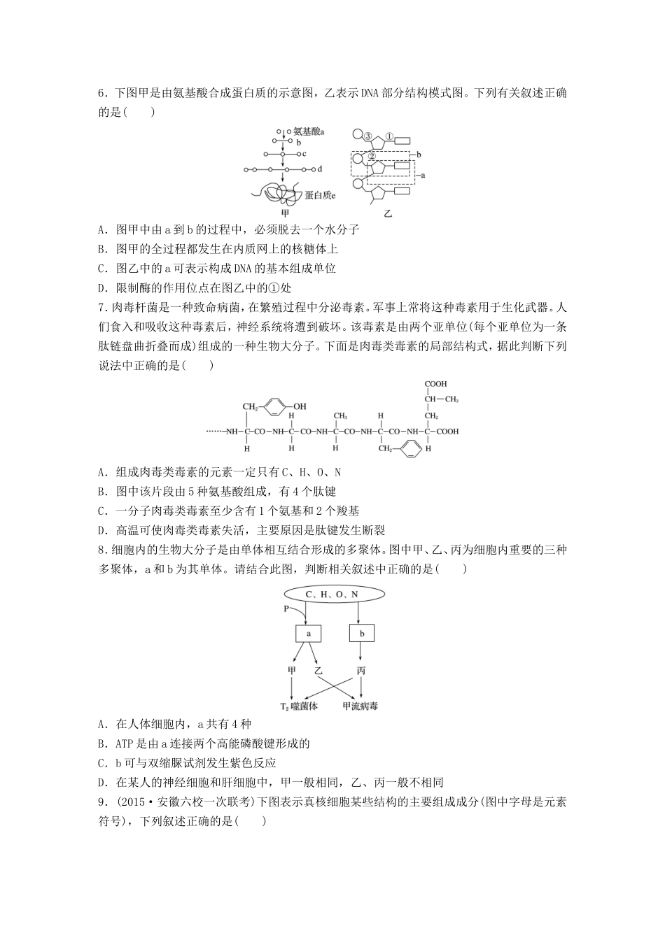 高考生物一轮复习  第4练 透析蛋白质结构层次、蛋白质与核酸之间的联系试题_第2页