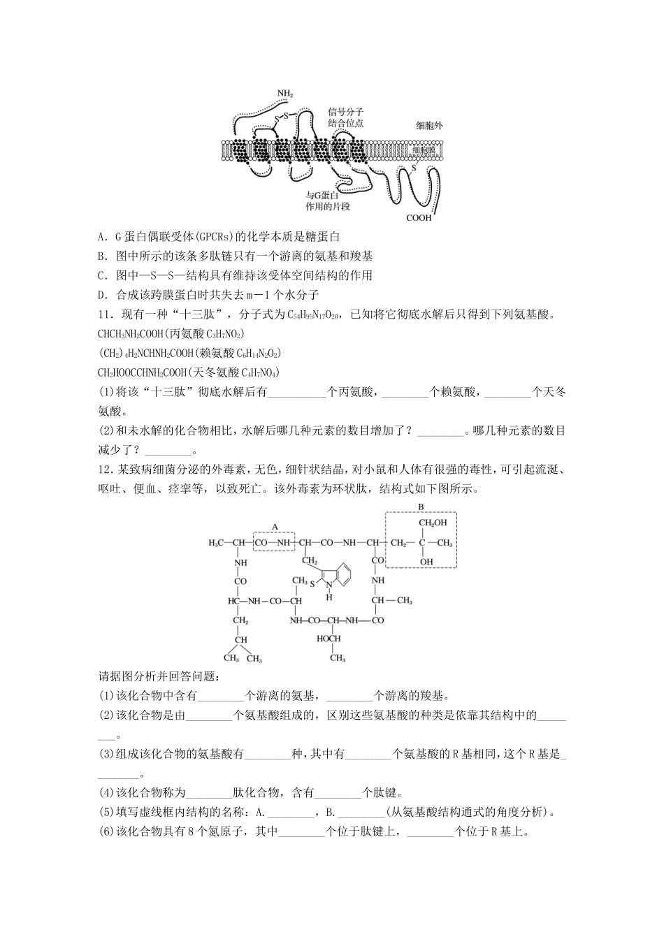 高考生物一轮复习  第5练 运用守恒规律，解答蛋白质合成的相关计算试题_第3页