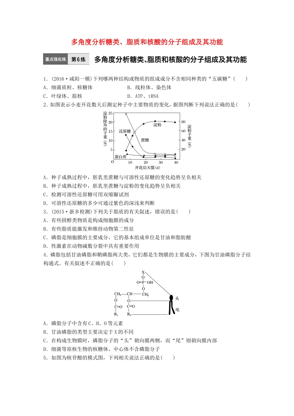 高考生物一轮复习  第6练 多角度分析糖类、脂质和核酸的分子组成及其功能试题_第1页