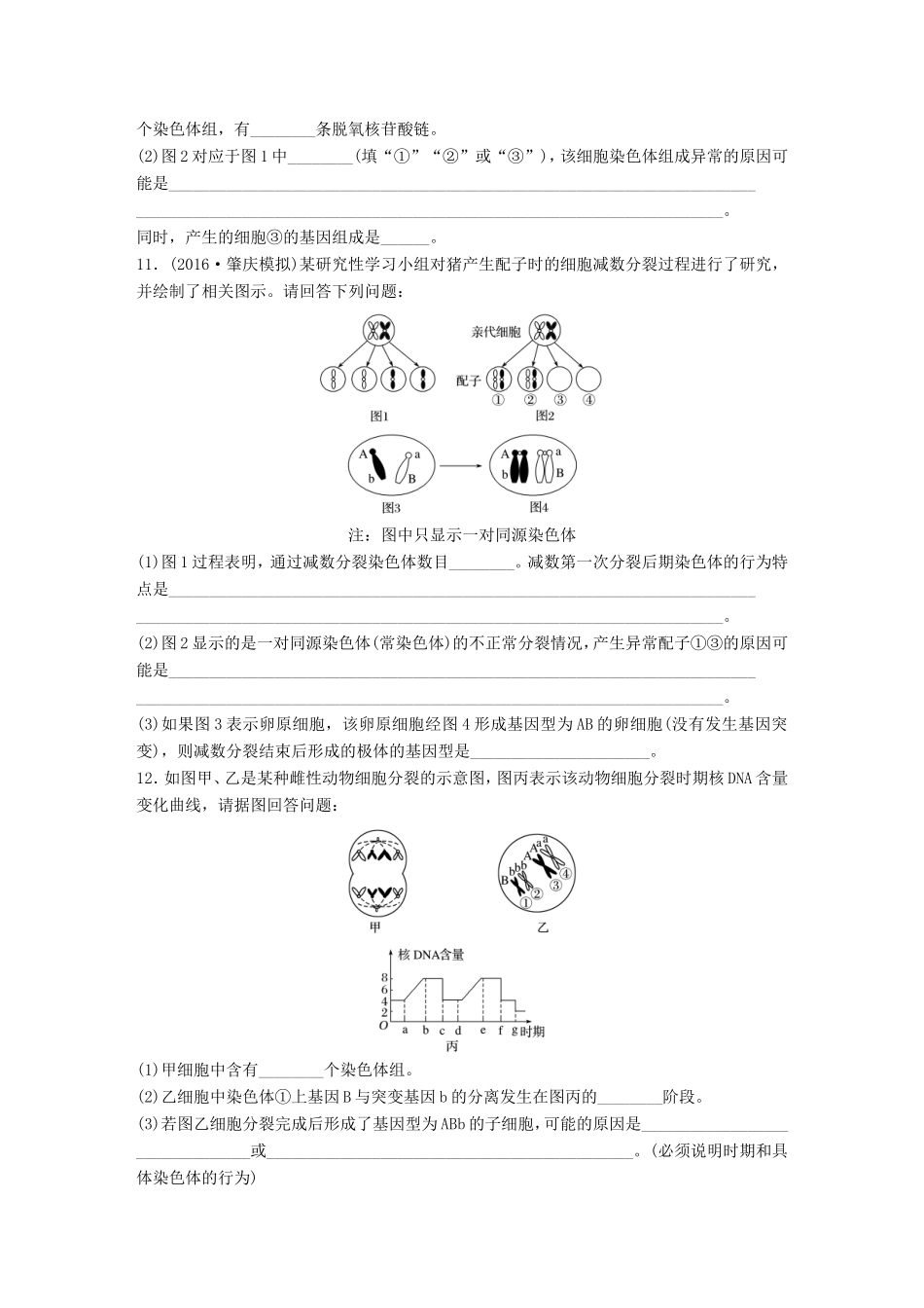 高考生物一轮复习  第29练 分析减数分裂异常原因及放射性标记DNA变化试题_第3页