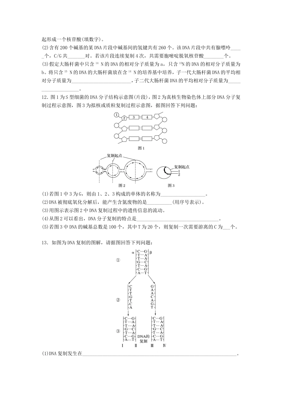 高考生物一轮复习  第41练 正确推理DNA相关计算试题_第3页