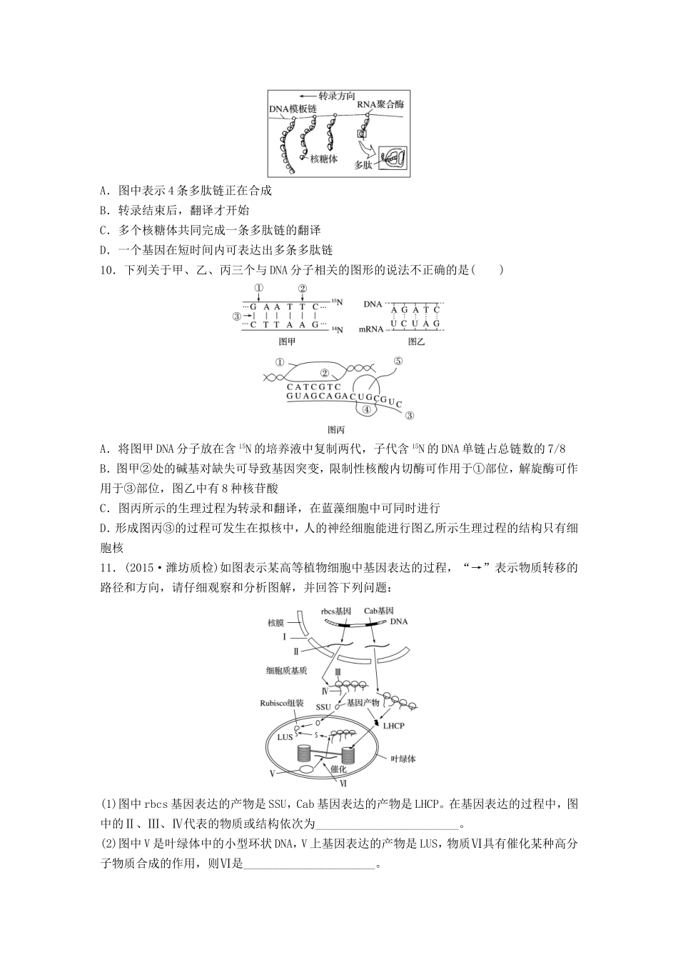 高考生物一轮复习  第42练 科学区分遗传信息的转录和翻译试题_第3页