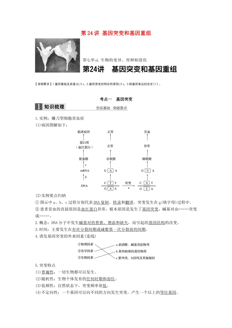 高考生物一轮复习 第七单元 生物的变异、育种和进化 第24讲 基因突变和基因重组试题_第1页