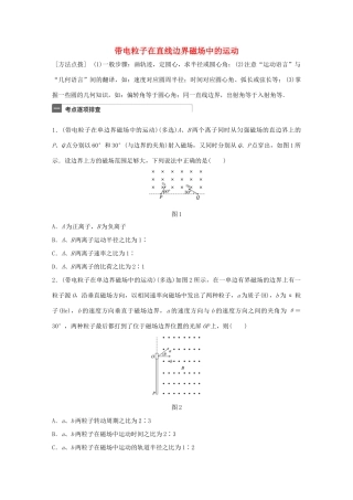 高考物理一轮复习 第10章 磁场 微专题53 带电粒子在直线边界磁场中的运动试题