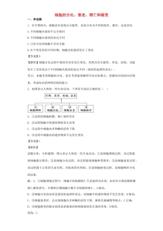 高考生物二轮复习 细胞的分化、衰老、凋亡和癌变专题卷4试题