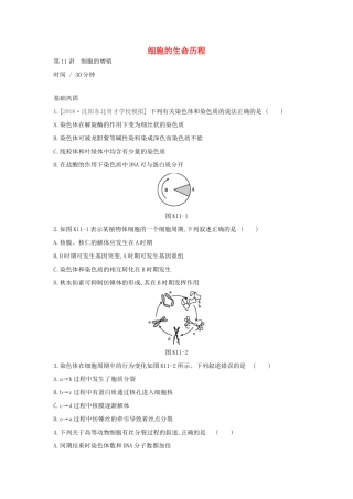 高考生物优选大一轮复习 第4单元 细胞的生命历程（第11-13讲）课时作业（含解析）试题