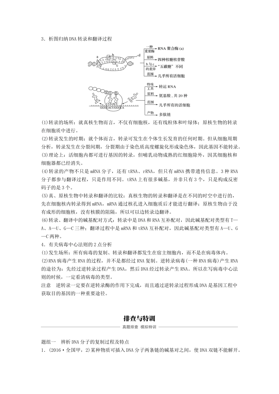 高考生物专题总复习专题4 遗传的分子基础 专点12 理清遗传信息的传递和表达过程及数量关系复习题试题_第2页