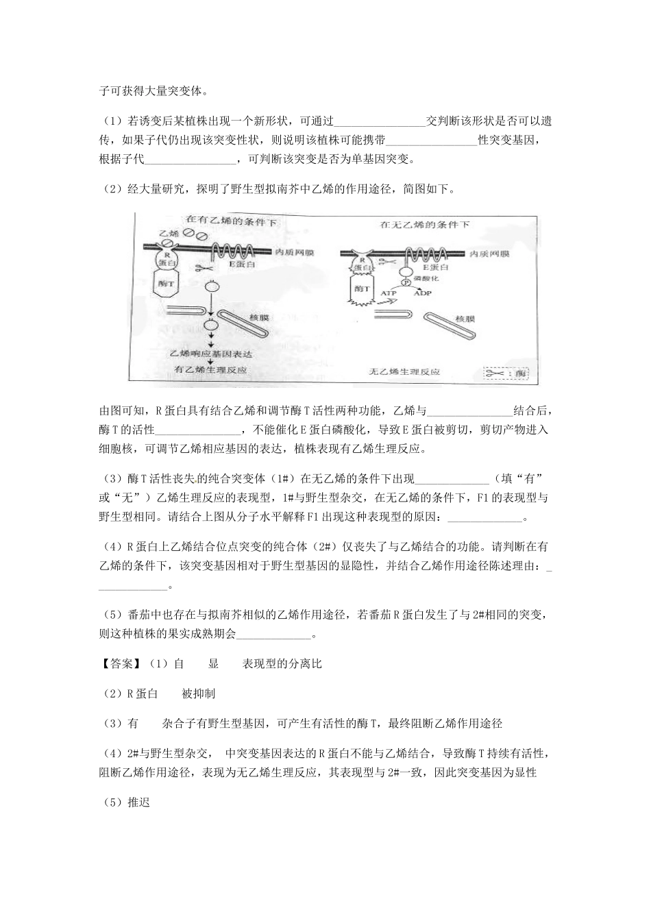 高考生物总复习《基因突变和基因重组》专题演练（一）试题_第3页