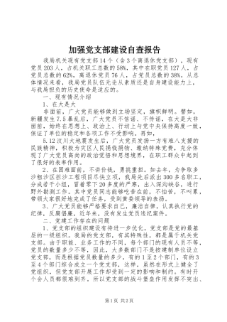 加强党支部建设自查报告