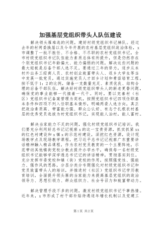 加强基层党组织带头人队伍建设