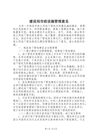 建设局市政设施管理意见