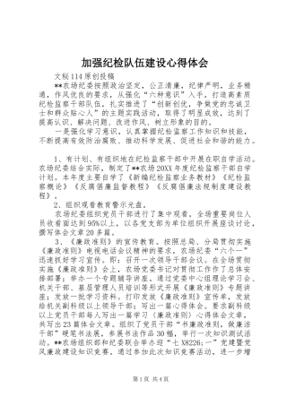 加强纪检队伍建设心得体会