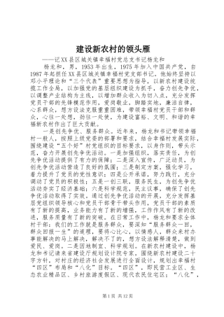 建设新农村的领头雁