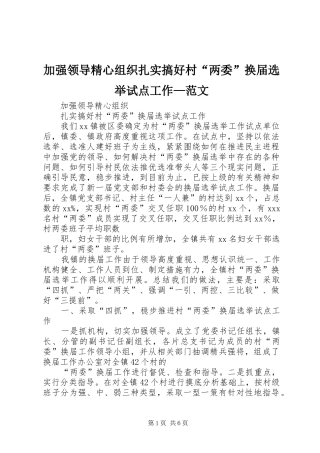 加强领导精心组织扎实搞好村两委换届选举试点工作范文