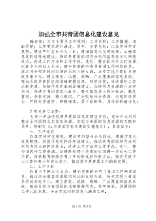 加强全市共青团信息化建设意见