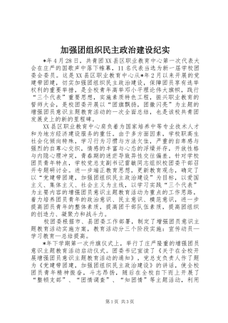 加强团组织民主政治建设纪实