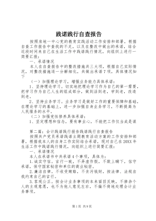 践诺践行自查报告