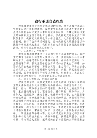 践行承诺自查报告