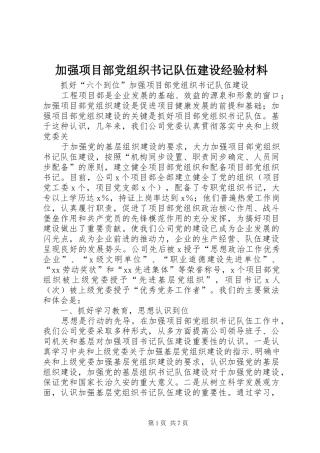 加强项目部党组织书记队伍建设经验材料
