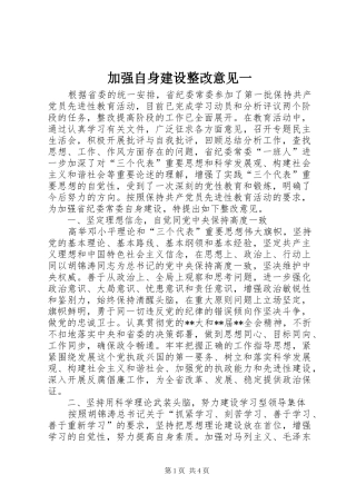加强自身建设整改意见一