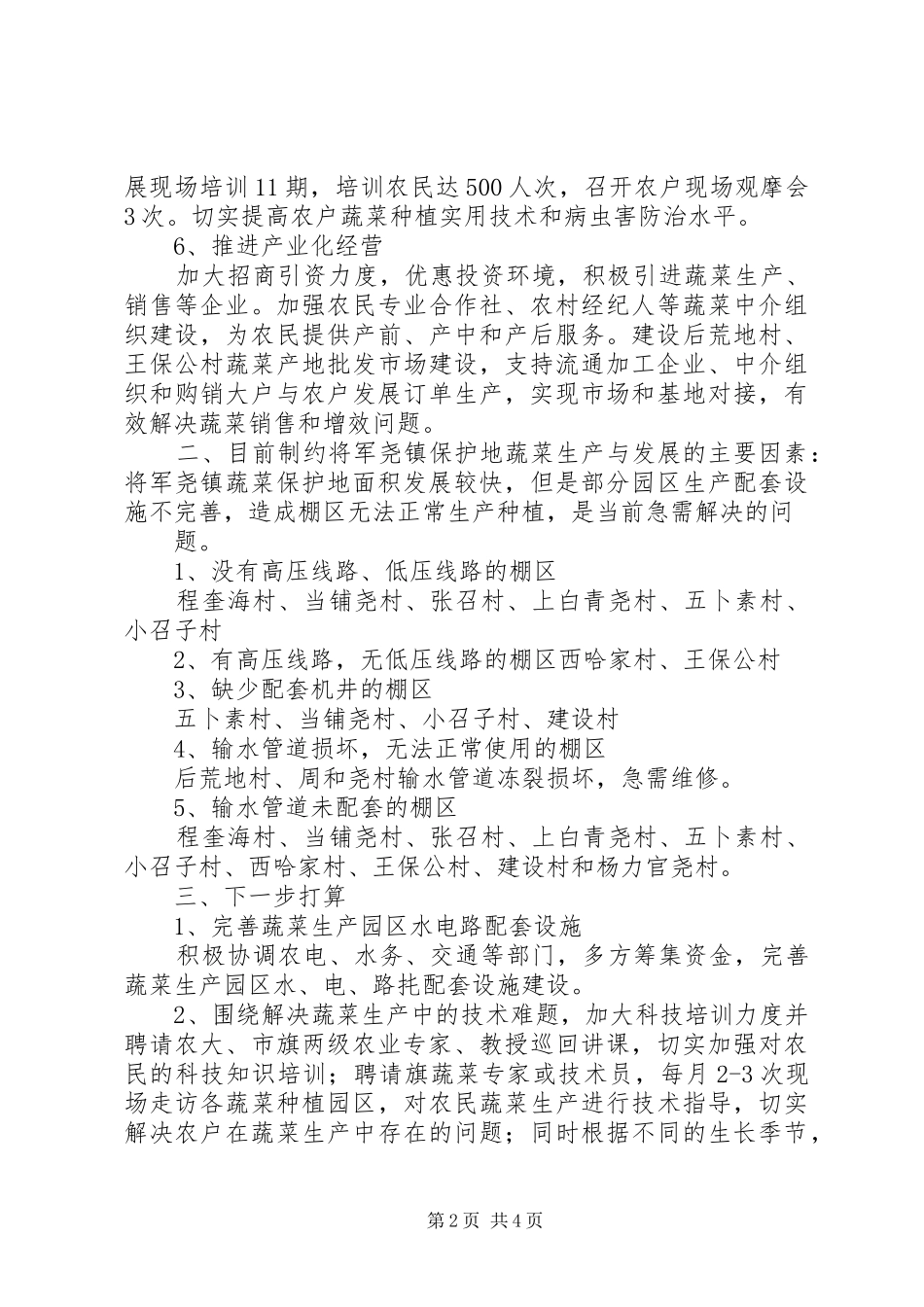 将军尧蔬菜发展汇报_第2页