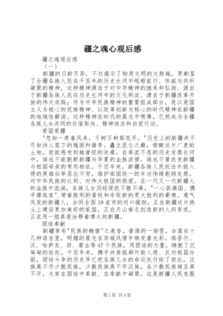 疆之魂心观后感