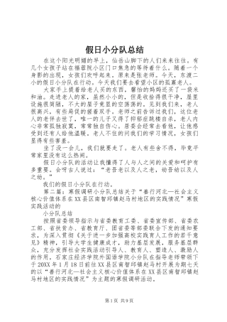假日小分队总结
