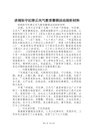 讲规矩守纪律正风气教育整顿活动剖析材料