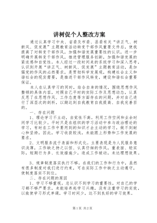 讲树促个人整改方案