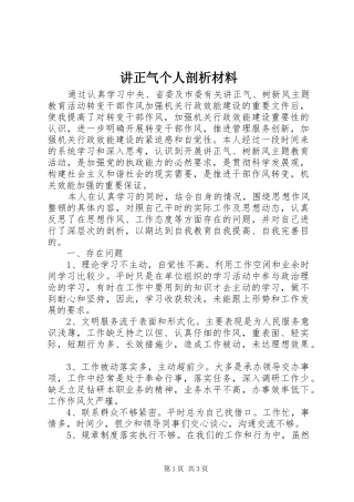 讲正气个人剖析材料
