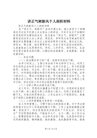 讲正气树新风个人剖析材料