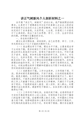 讲正气树新风个人剖析材料之一