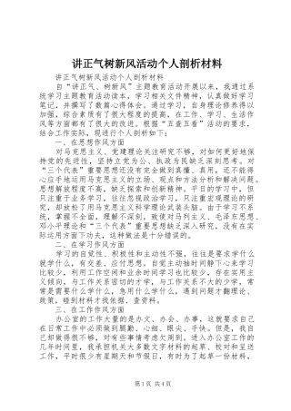 讲正气树新风活动个人剖析材料
