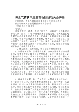 讲正气树新风检查剖析阶段动员会致辞