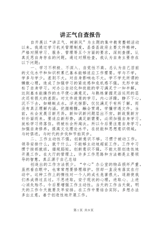 讲正气自查报告