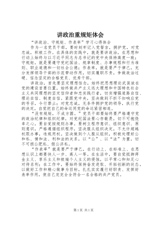 讲政治重规矩体会